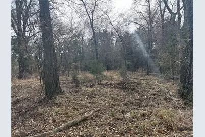 Tbd Co Rd 343, Kaufman, TX 75142 - Photo 13