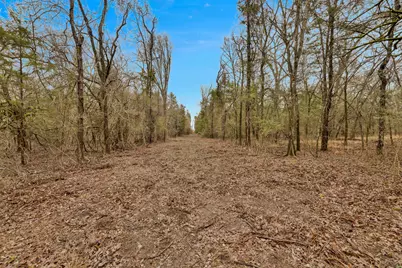 Tbd Co Rd 343, Kaufman, TX 75142 - Photo 5