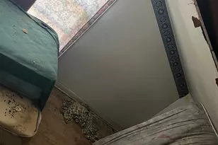 3919 E Berry St, Fort Worth, TX 76105 - Photo 13