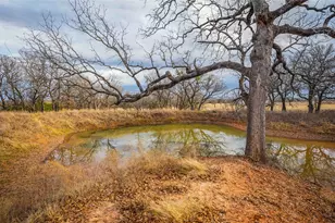 1436 County Rd 216, Iredell, TX 76649 - Photo 33