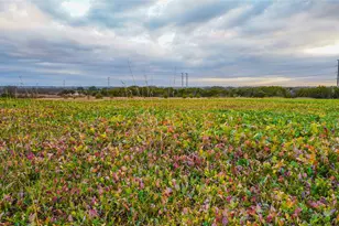 1436 County Rd 216, Iredell, TX 76649 - Photo 39