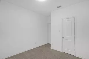 3313 Ringtail Ln, McKinney, TX 75071 - Photo 21