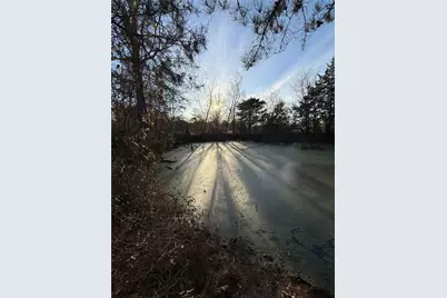 Tbd County Road 4950, Pittsburg, TX 75686 - Photo 7