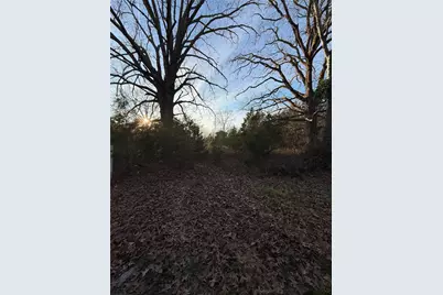 Tbd County Road 4950, Pittsburg, TX 75686 - Photo 1