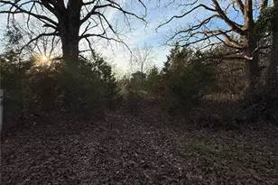 Tbd County Road 4950, Pittsburg, TX 75686 - Photo 1