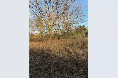 Tbd County Road 4950, Pittsburg, TX 75686 - Photo 5