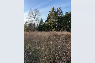 Tbd County Road 4950, Pittsburg, TX 75686 - Photo 11