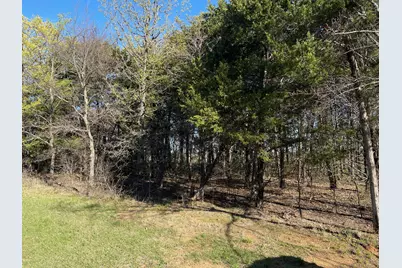 Lot 101A Stonewolf Court, Gordonville, TX 76245 - Photo 7