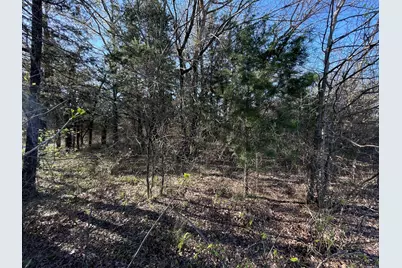 Lot 101A Stonewolf Court, Gordonville, TX 76245 - Photo 9