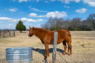 290 Farm Rd 197, Arthur City, TX 75411 - Photo 37