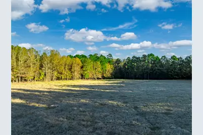 0 Acr 153, Palestine, TX 75801 - Photo 19
