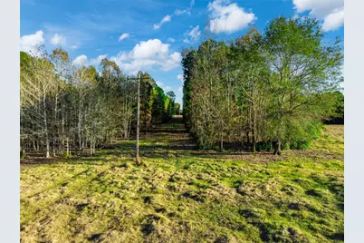 0 Acr 153, Palestine, TX 75801 - Photo 13