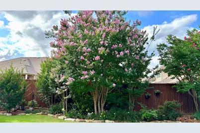 3916 Brook Wood Drive, McKinney, TX 75071 - Photo 5