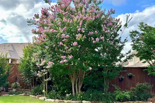 3916 Brook Wood Dr, McKinney, TX 75071 - Photo 5