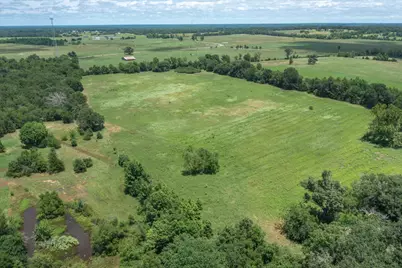 41.85 Acres State Highway 64, Canton, TX 75103 - Photo 15