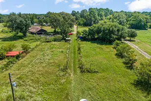 6404 Black Gum Rd, Gilmer, TX 75644 - Photo 33