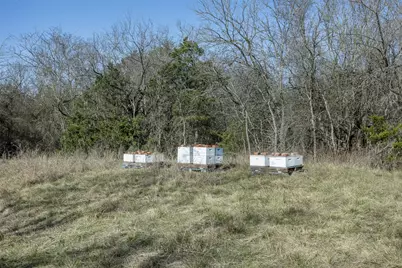 Tract 3 County Road 386, Groesbeck, TX 76642 - Photo 13