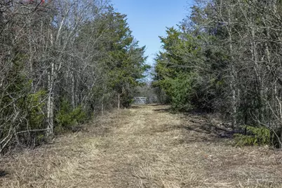 Tract 3 County Road 386, Groesbeck, TX 76642 - Photo 15