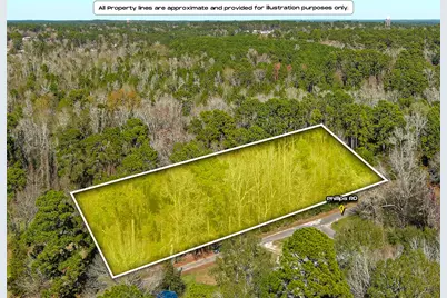 Tract 26 Phillips Road, Onalaska, TX 77360 - Photo 3