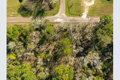 Tract 26 Phillips Road, Onalaska, TX 77360 - Photo 7