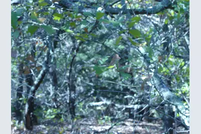 1746 Dog Kennel Road, Sunset, TX 76270 - Photo 19