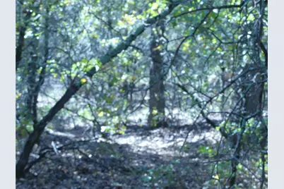 1746 Dog Kennel Road, Sunset, TX 76270 - Photo 13