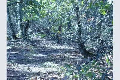 1746 Dog Kennel Road, Sunset, TX 76270 - Photo 23