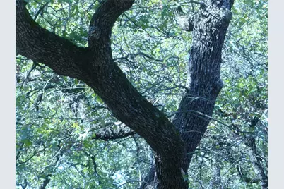 1746 Dog Kennel Road, Sunset, TX 76270 - Photo 29