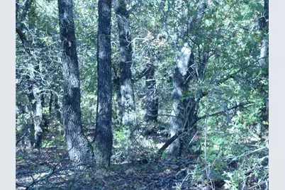 1746 Dog Kennel Road, Sunset, TX 76270 - Photo 27