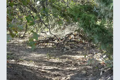 1746 Dog Kennel Road, Sunset, TX 76270 - Photo 5