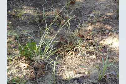 1746 Dog Kennel Road, Sunset, TX 76270 - Photo 9