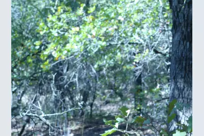 1746 Dog Kennel Road, Sunset, TX 76270 - Photo 15