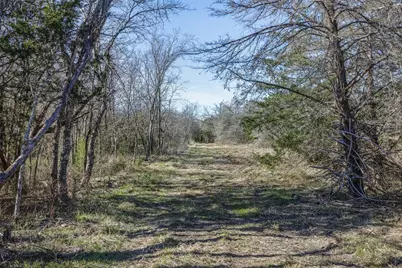 Tract 4 County Road 386, Groesbeck, TX 76642 - Photo 7