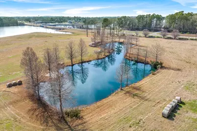 17008 Fm 344 W, Flint, TX 75762 - Photo 9