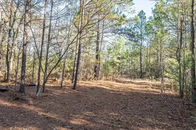 0000 Red Oak Road, Marshall, TX 75670 - Photo 15