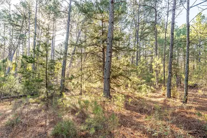 0000 Red Oak Road, Marshall, TX 75670 - Photo 17