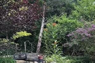 3306 Harbor Pointe Dr, Rowlett, TX 75088 - Photo 35