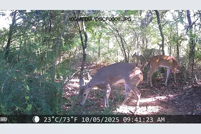 1106 Ellard Drive, Hickory Creek, TX 75065 - Photo 39