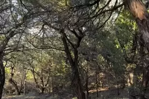 18800 US Hwy 180, Breckenridge, TX 76429 - Photo 37