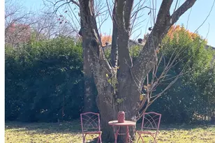 5703 Pecan Grove Dr, Sachse, TX 75048 - Photo 15