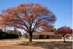 5703 Pecan Grove Dr, Sachse, TX 75048 - Photo 1