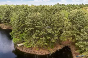 420 Private Rd 8585, Winnsboro, TX 75494 - Photo 3