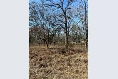 6149 Indian Harbor Drive, Mabank, TX 75156 - Photo 3