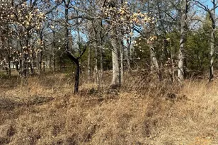 176 Oak Trail, Mabank, TX 75156 - Photo 1