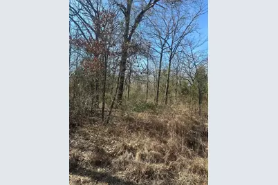 176 Oak Trail, Mabank, TX 75156 - Photo 3