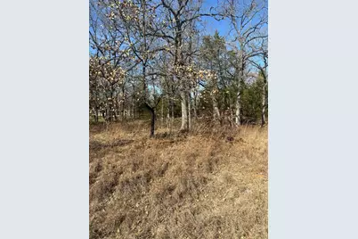 155 Spearman Street, Mabank, TX 75156 - Photo 3