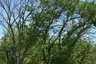 1318 Johnson Bend, Weatherford, TX 76088 - Photo 21