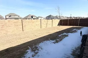 804 Marigold St, Princeton, TX 75407 - Photo 17