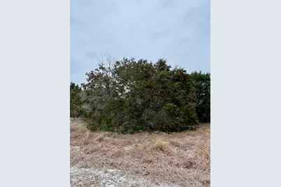 11101 Juniper Drive, Whitney, TX 76692 - Photo 3