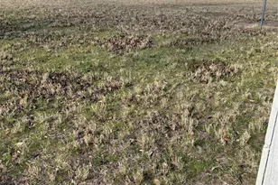 1819 Pelican W, Pelican Bay, TX 76020 - Photo 13